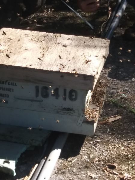 20190302_101103.jpg