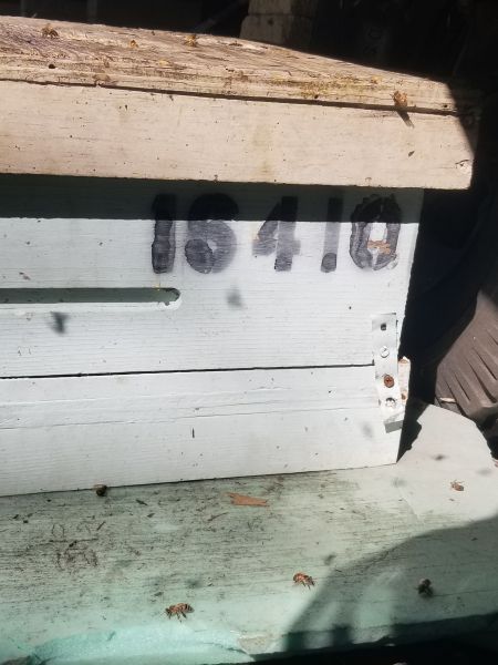 20190302_101106.jpg