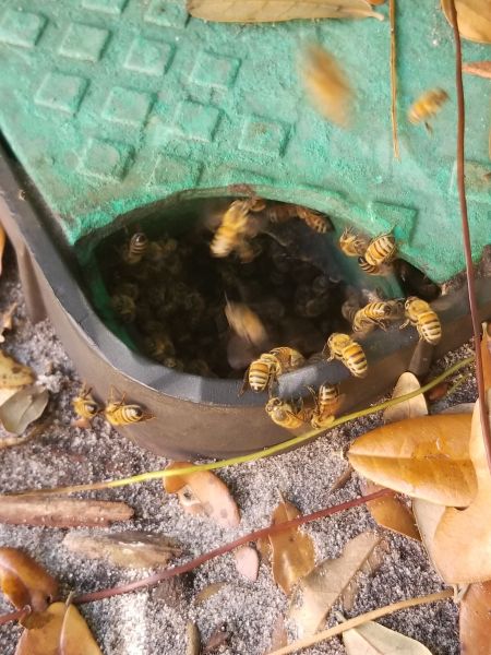 20190304_125831.jpg