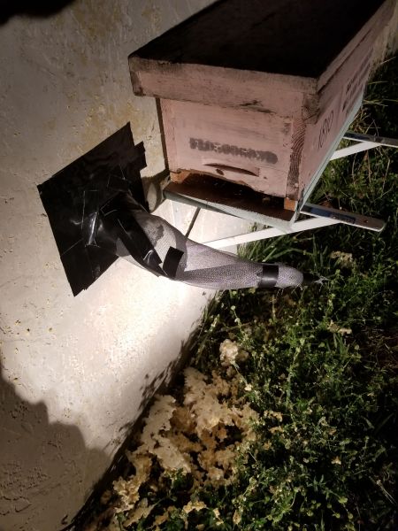 20190305_205721.jpg
