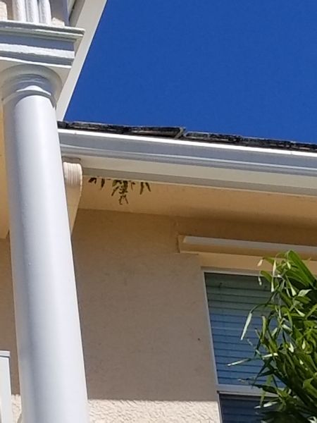 20190306_131359~0.jpg