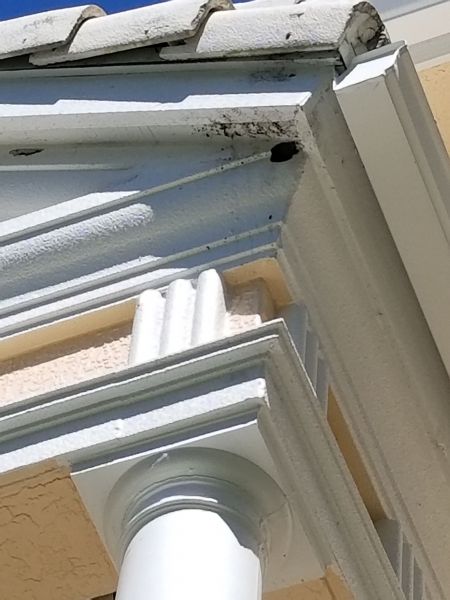 20190306_134018~0.jpg