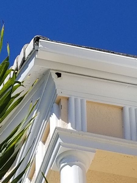 20190306_134044~0.jpg