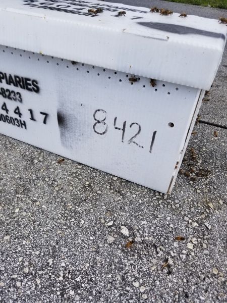 20190307_131931.jpg