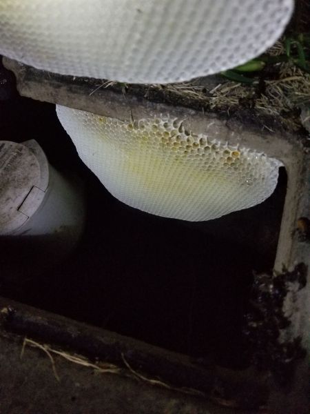 20190307_200227.jpg