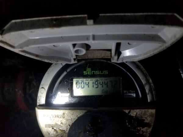 20190307_200409.jpg