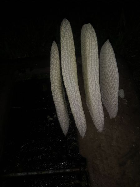 20190307_200512.jpg