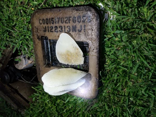 20190307_200530.jpg