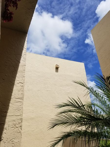 20190309_120323.jpg