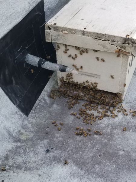 20190309_120430.jpg