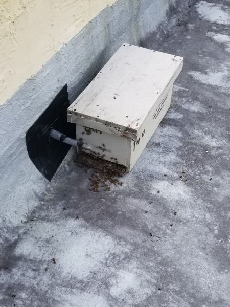 20190309_120855.jpg