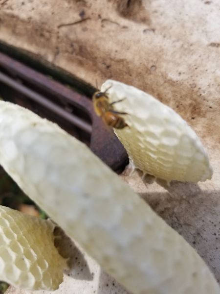 20190312_135643.jpg