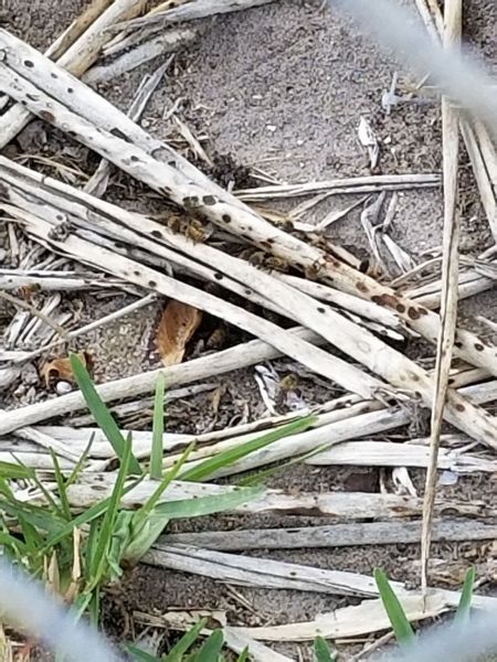 20190312_154821.jpg