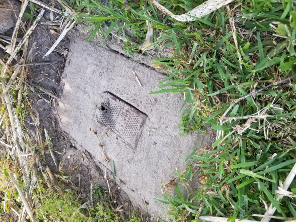 20190312_155946.jpg