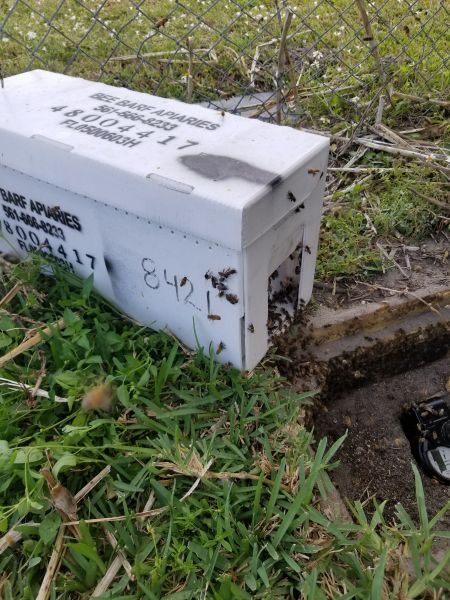20190312_161833.jpg