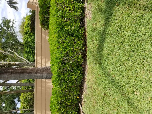 20190313_133510.jpg