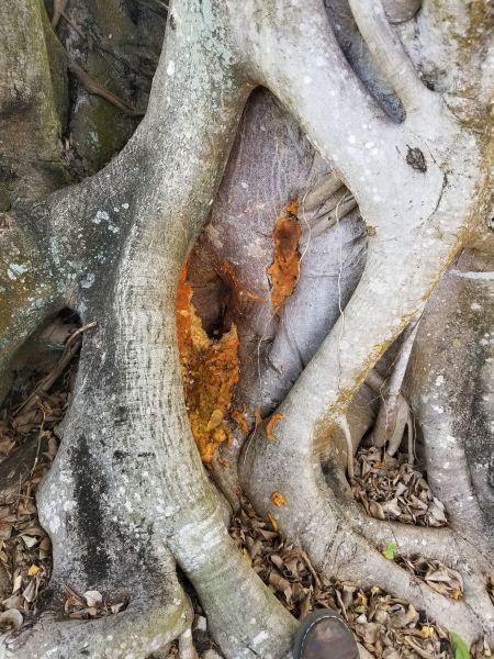 20190313_170545.jpg
