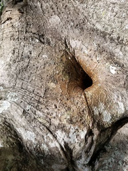 20190313_173638.jpg