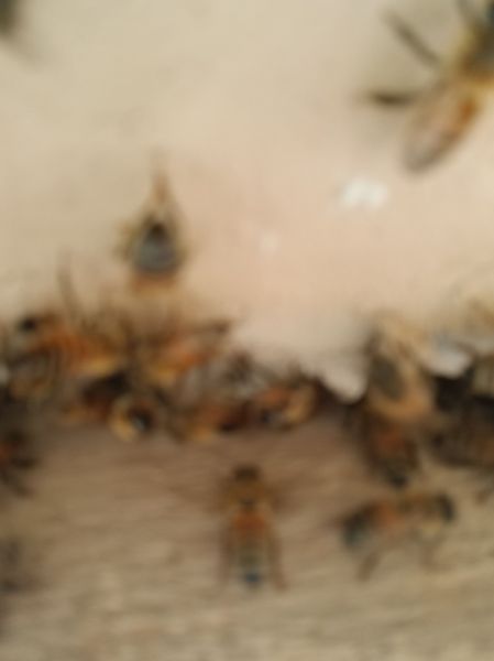 20190314_123006.jpg