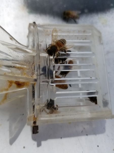 20190314_132752.jpg