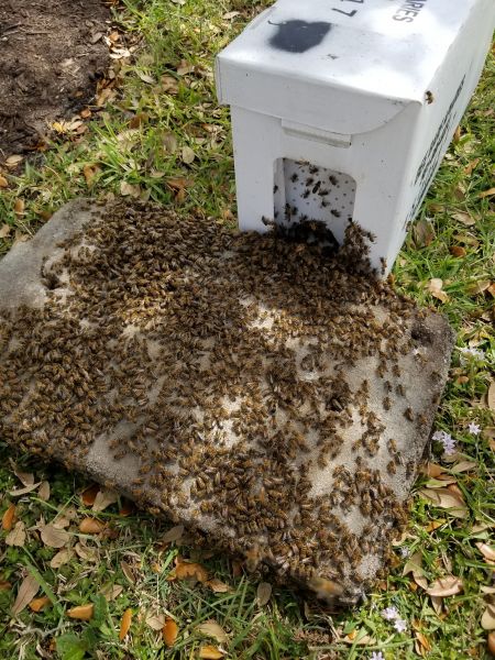20190314_133011.jpg