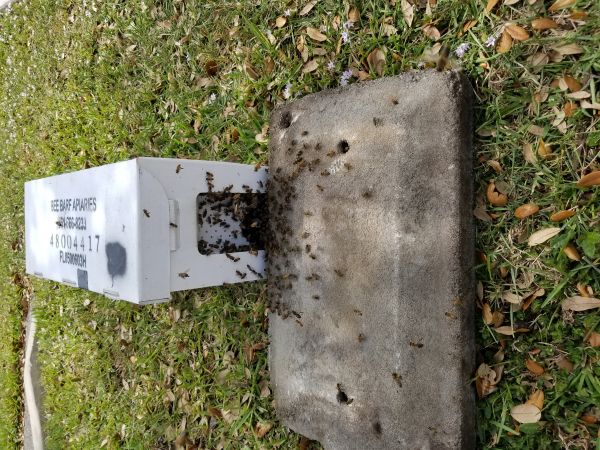 20190314_133156.jpg