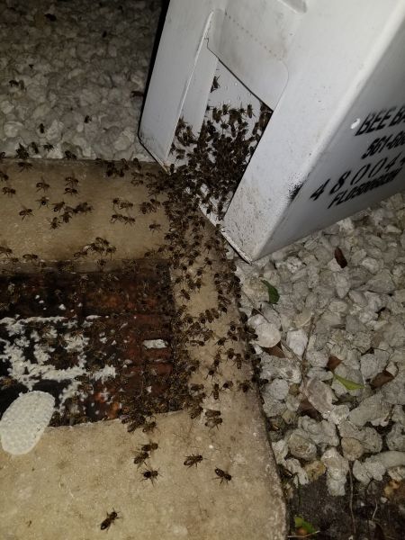 20190314_201246.jpg