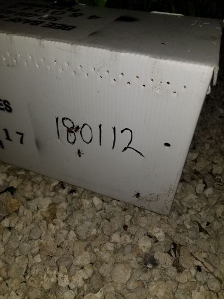 20190314_201833.jpg