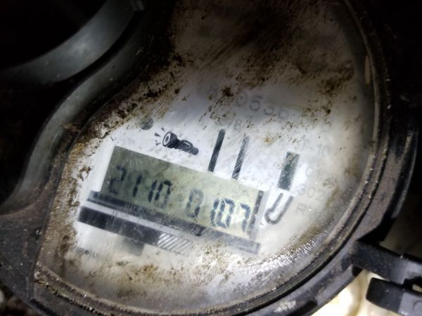 20190314_202517.jpg