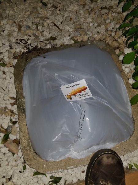 20190314_203051.jpg