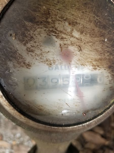 20190318_123431.jpg
