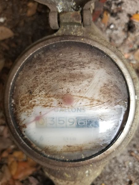 20190318_123447.jpg