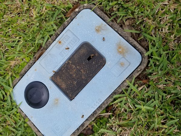 20190320_124235.jpg