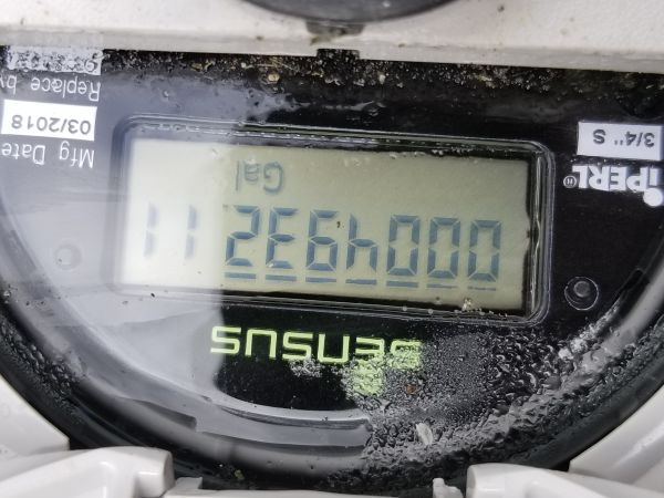 20190320_124518.jpg