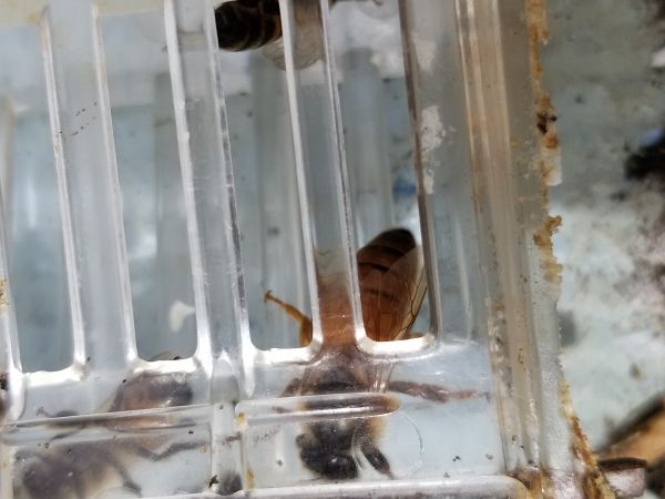 20190320_124858.jpg