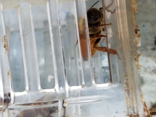 20190320_124901.jpg