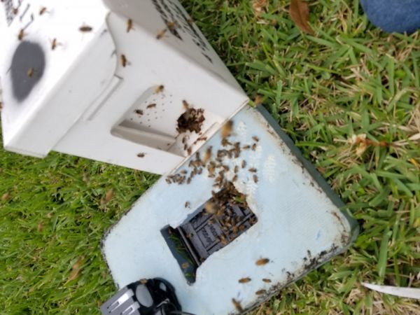 20190320_125142.jpg