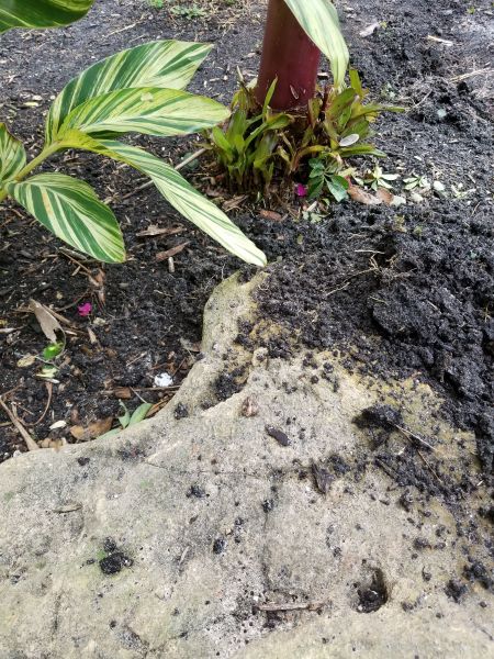20190320_160722.jpg