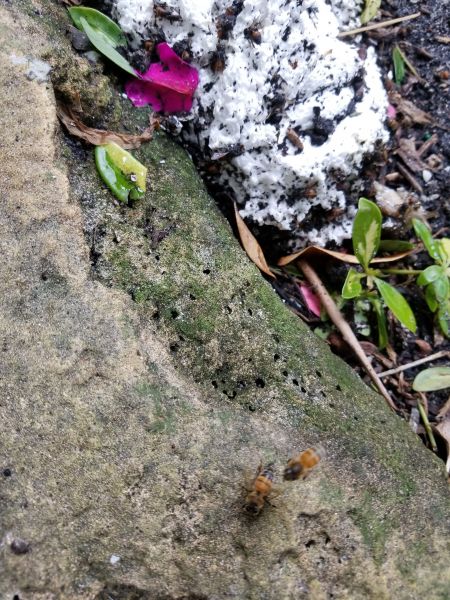 20190320_160738.jpg