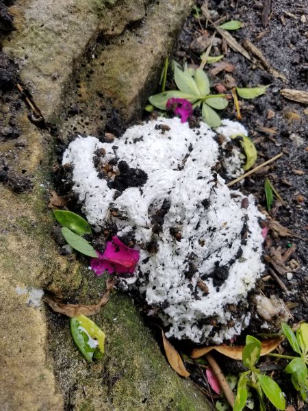 20190320_160742.jpg