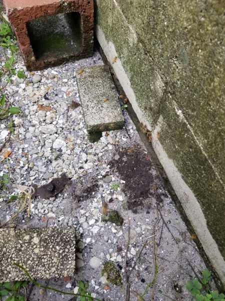 20190321_142216.jpg