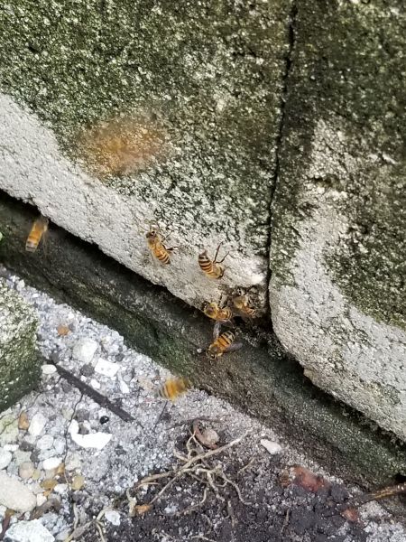 20190321_142547.jpg