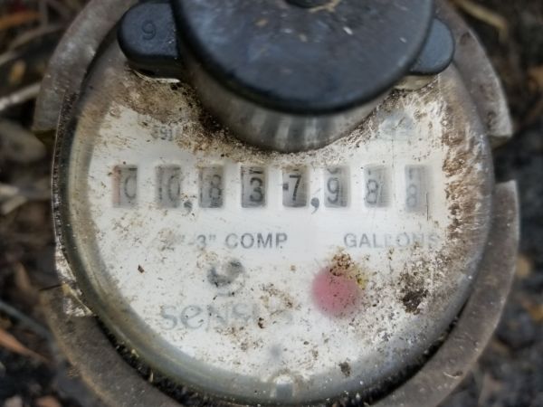 20190322_182117.jpg