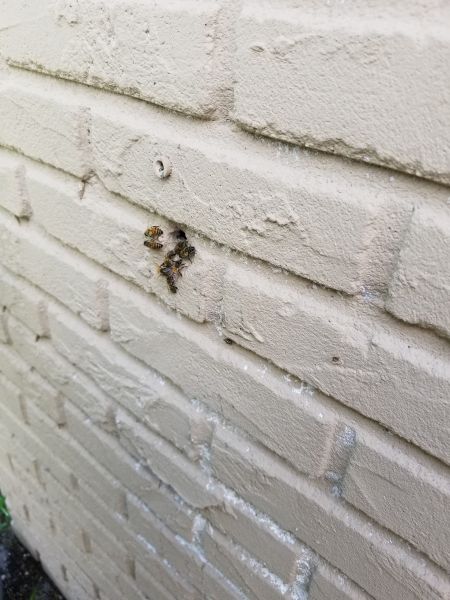 20190325_124833.jpg