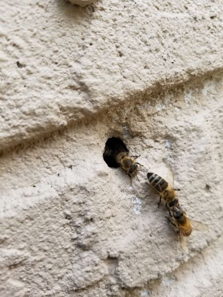 20190325_124927.jpg