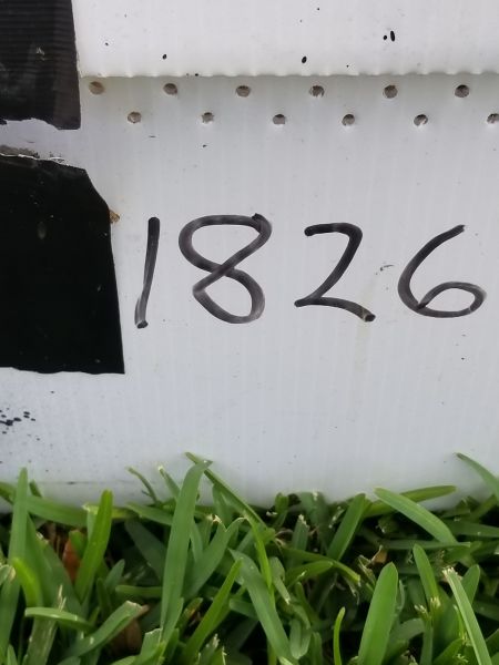 20190325_153934.jpg