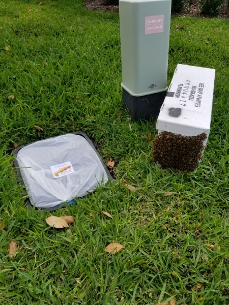 20190325_155315.jpg