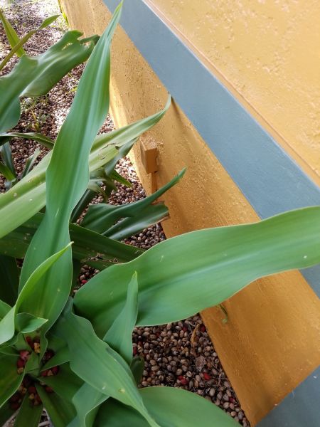 20190325_161555.jpg