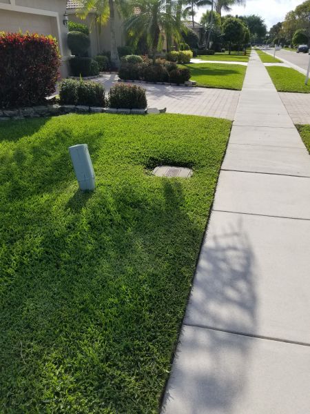 20190325_164259.jpg
