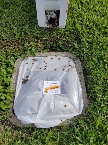20190325_170020.jpg
